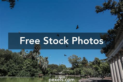 penes pack|Penes+Pack Photos, Download The BEST Free Penes+Pack。